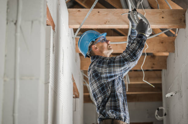 Best Electrical System Inspection  in Leadville, CO